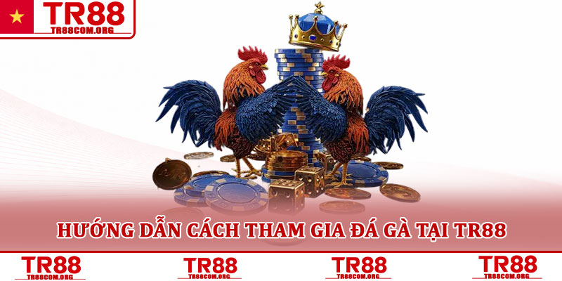 Đá gà TR88 – Nền tảng cá cược gà trực tuyến được quan tâm 3 Hướng dẫn cách tham gia đá gà tại TR88