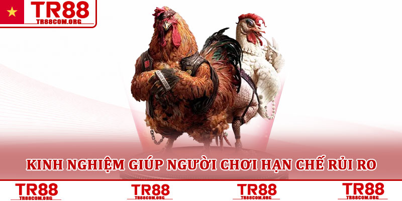 Đá gà TR88 – Nền tảng cá cược gà trực tuyến được quan tâm 4 Kinh nghiệm giúp người chơi hạn chế rủi ro